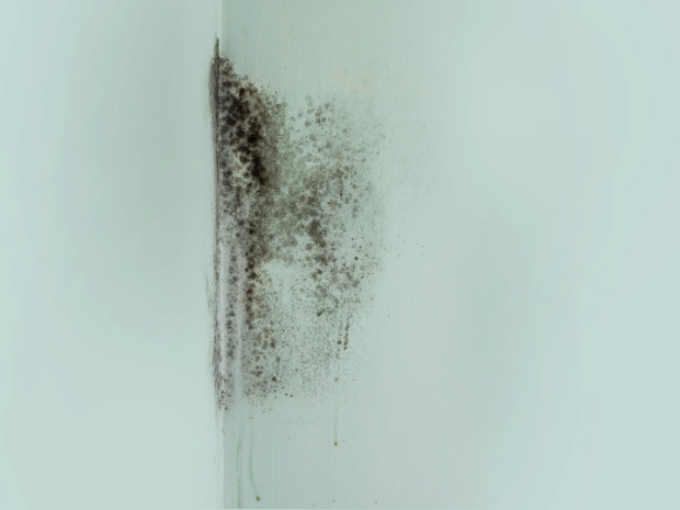 A family blowing bubbles whilst sitting on the grass outside.